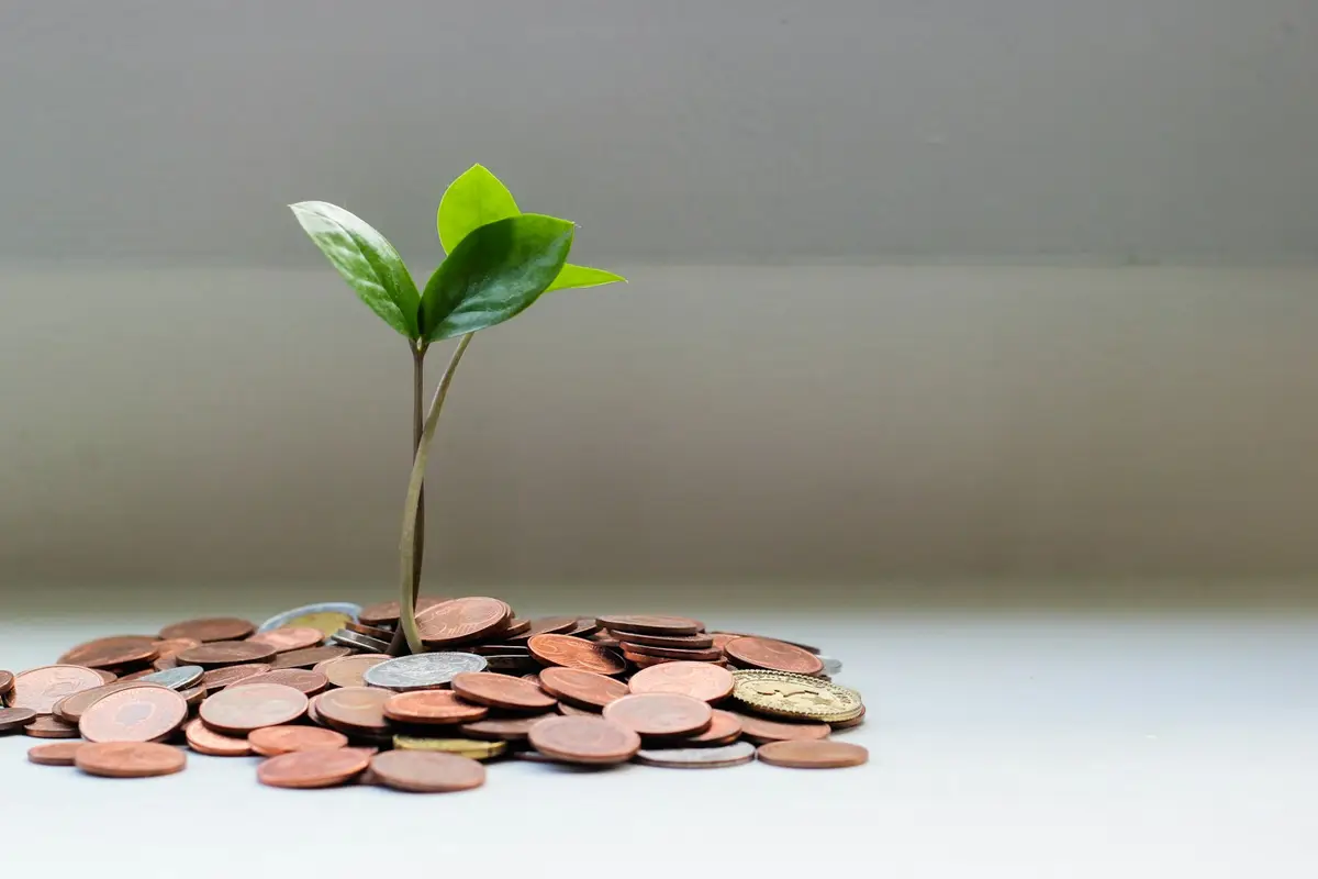 Green plant sprouting from a pile of coins, representing dividend income growth